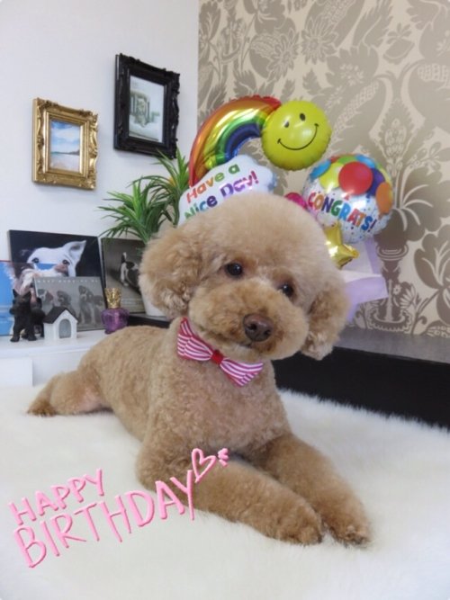 お誕生日でした～(^ ^)