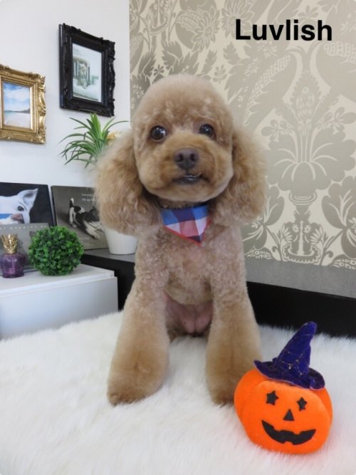 ティナちゃん(^^)