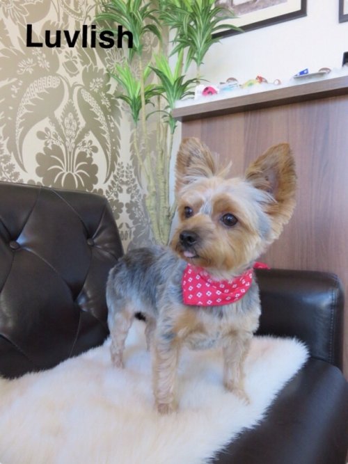 りんちゃん(^_^)