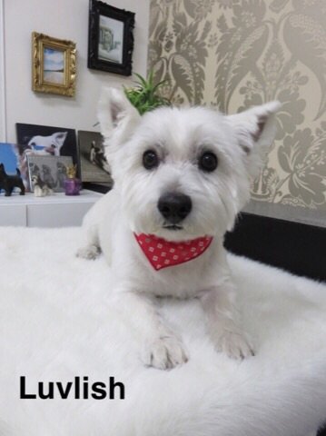 おやすみなさい(^^)