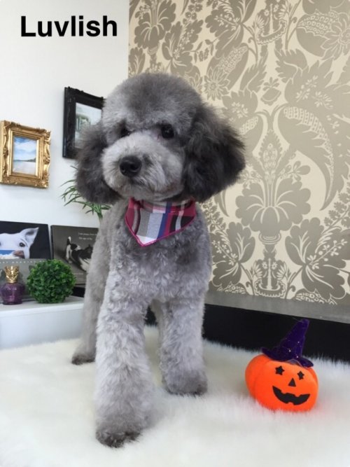 ぱるるちゃん(^ ^)