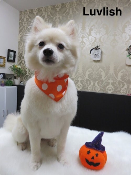 おはよぉございます(^ ^)