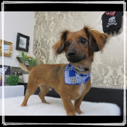 泥パックでツヤツヤ(^^)