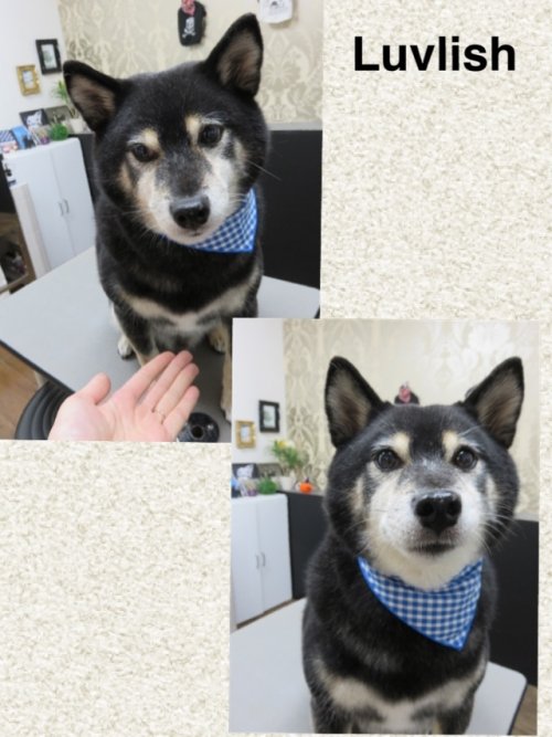 ご予約はお済みですか??