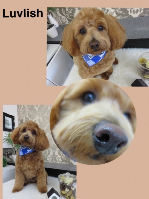クーたん(^^)
