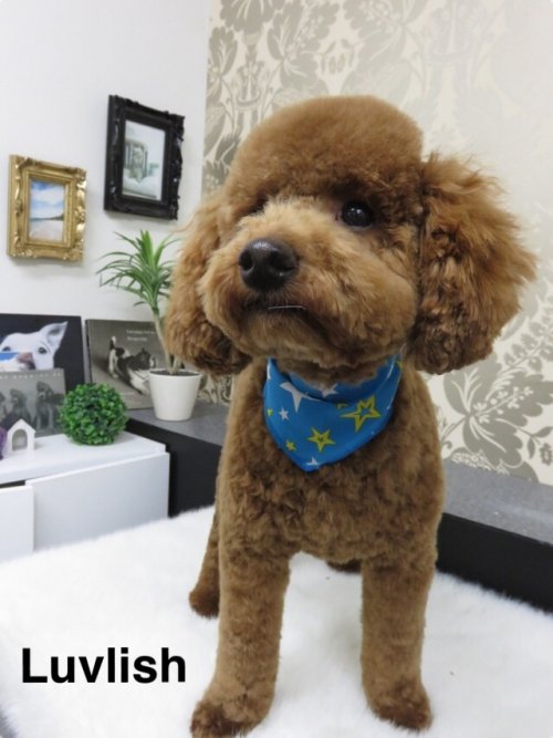 ハピちゃん(^ ^)