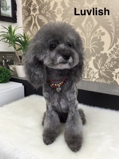こんなスタイルどぉですか??