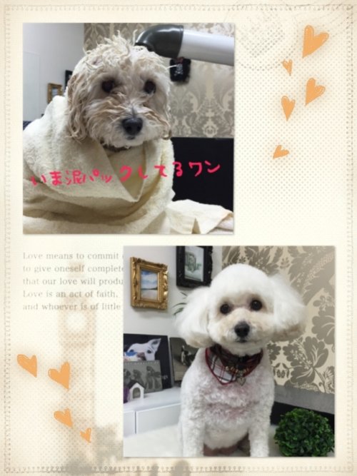 おはよぉございます(^ ^)