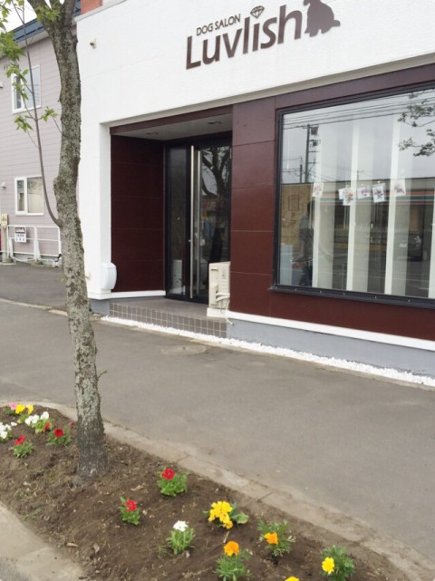 花壇ができた!