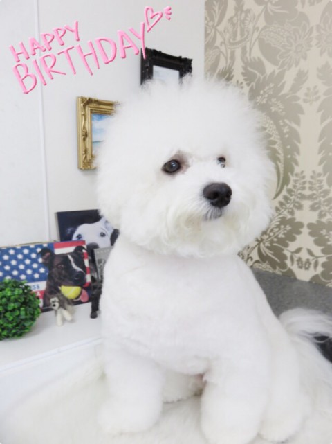Happy Birthday!!