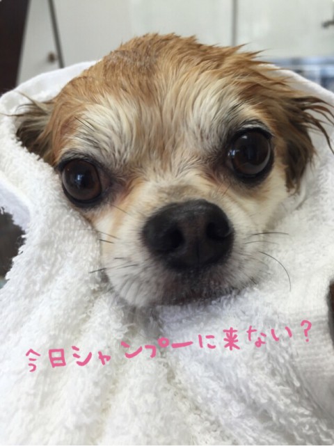 8月の空き状況のお知らせ