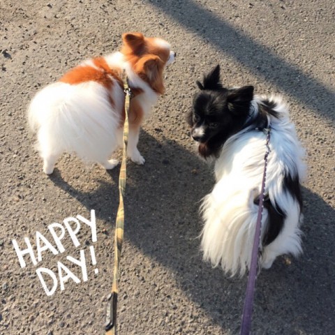 明日!空きができました〜