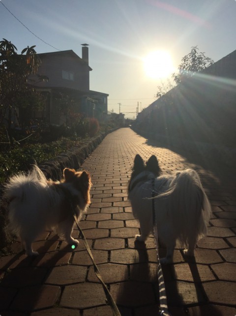 のーんびり(^-^)