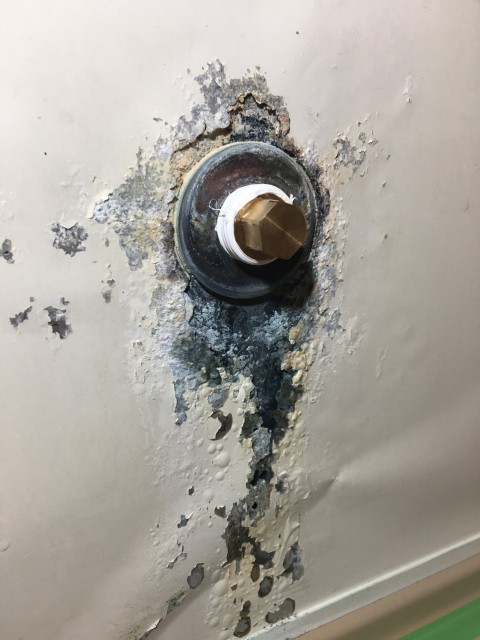 補修屋さん お風呂も爽やかに