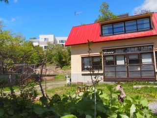 13日の営業のご案内と、HPが出来ました。