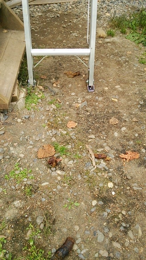現場で教えられるコト