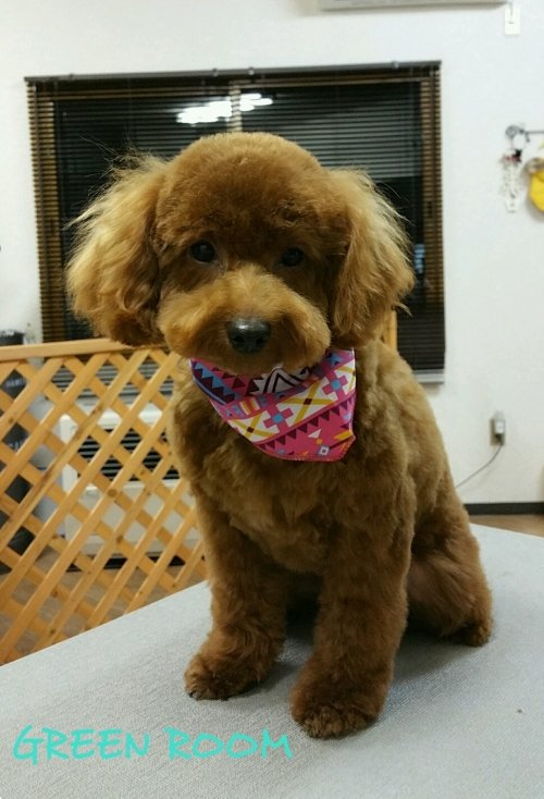 お片付けしてたら…(;・∀・)