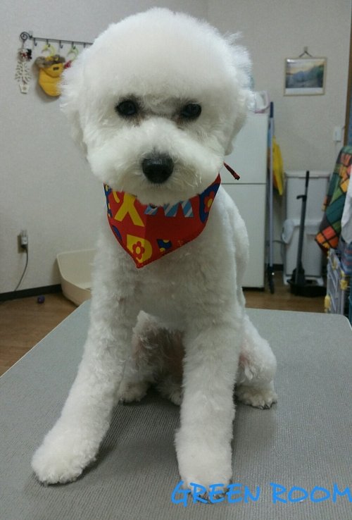 もう3月なんですね(*´∀`)♪