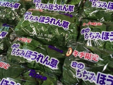 味の濃い ホーレン草