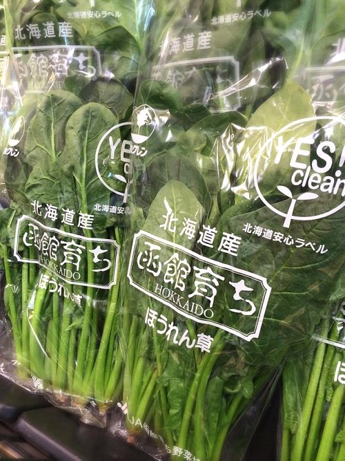 『函館産ホーレン草』