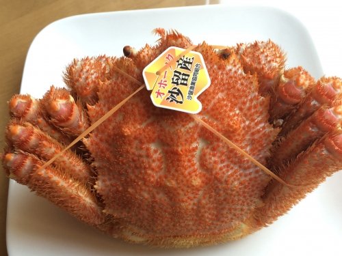 沙留産のカニ