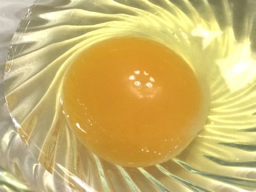 おいしい「たまご」