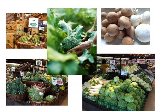 野菜は国産!十勝産!