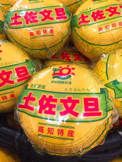 \\ 風邪の予防にも効果抜群ぜよ! //