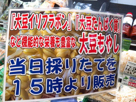 当日採れたての大豆もやし!!