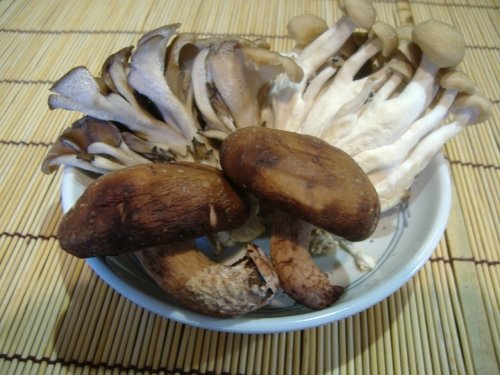 秋のミニギョウザ