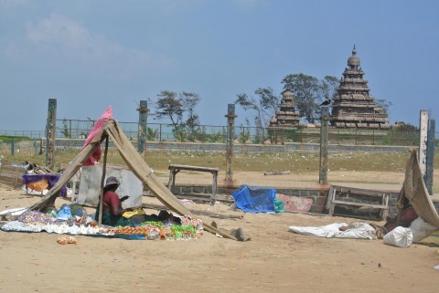 2015年　インド旅行記⑧