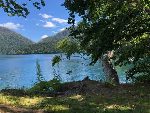 【昼酒　夕酒】十勝は気を付ければ　接触を避けられる場所も手段も多様