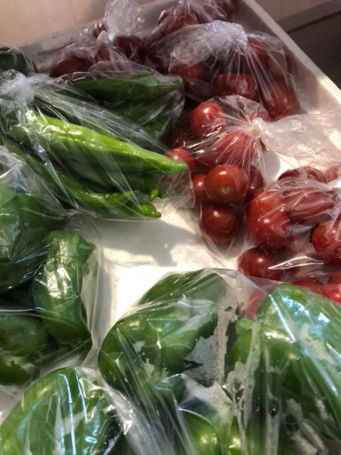 【昼酒　夜酒】ズッキーニなどの地物の夏野菜が満載　天婦羅の盛り合わせ