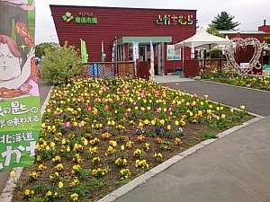 とかちむら 産直市場(LOVE)