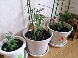 豊かな時間とFM JAGAと