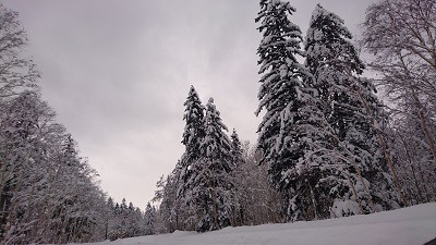 過敏な人・HSPは旅行も大変(>_<)