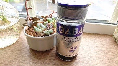 半永久的?バニラエッセンスの作り方