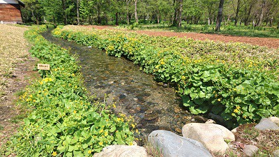 普通のカウンセリング始めます。