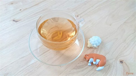 男性の見分け方と自由恋愛のススメ