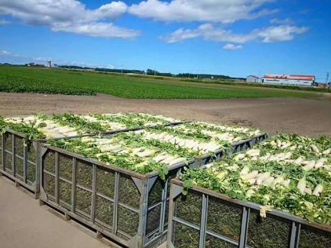 年末年始のお休みについて