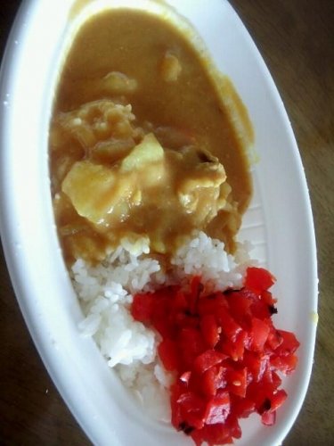 偽インデアンカレー