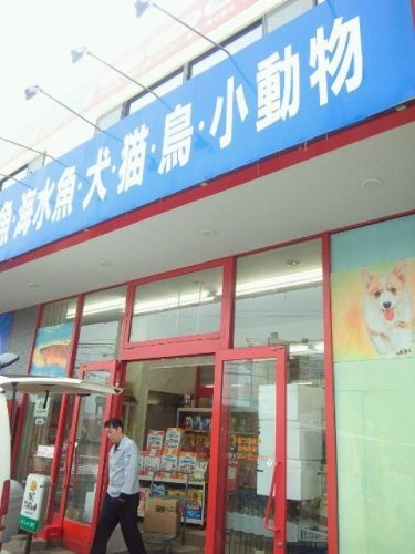 ペットショップ