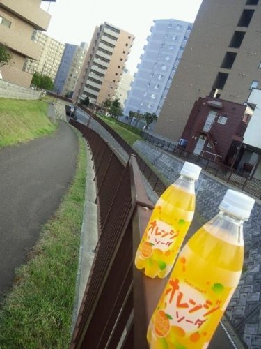秋だね