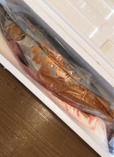 釧路アンダーグランドプロジェクト