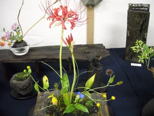 クレイクラフト「摘み花」　奥泉幸子展、11月2日(日)まで開催中