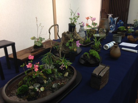 【本物と見間違えること必至】クレイクラフト「摘み花」奥泉幸子展