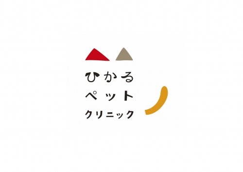 「おウチで健康チェック」2：体を見る