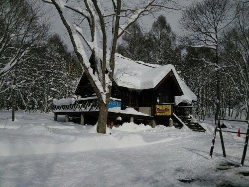 戸隠 小鳥の森