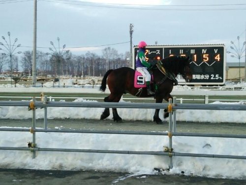 帯広競馬場