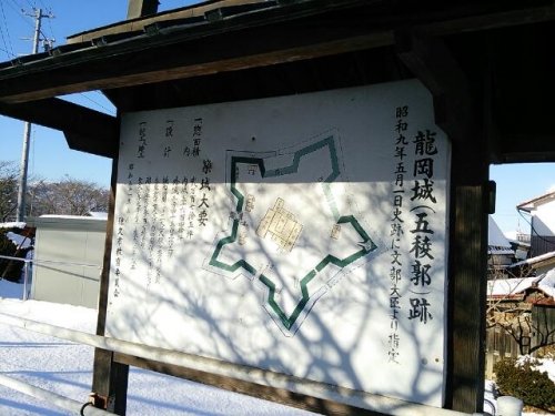 長野県の五稜郭(龍岡城)